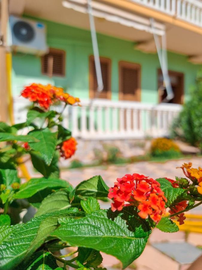 Apartment Celaj Velipojë المظهر الخارجي الصورة